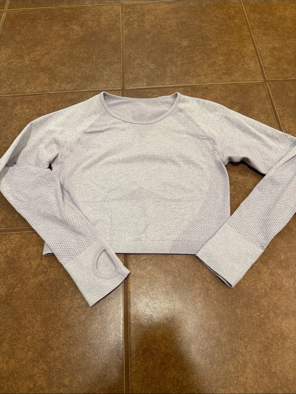 Seamless Lavender Long-Sleeve Crop Top